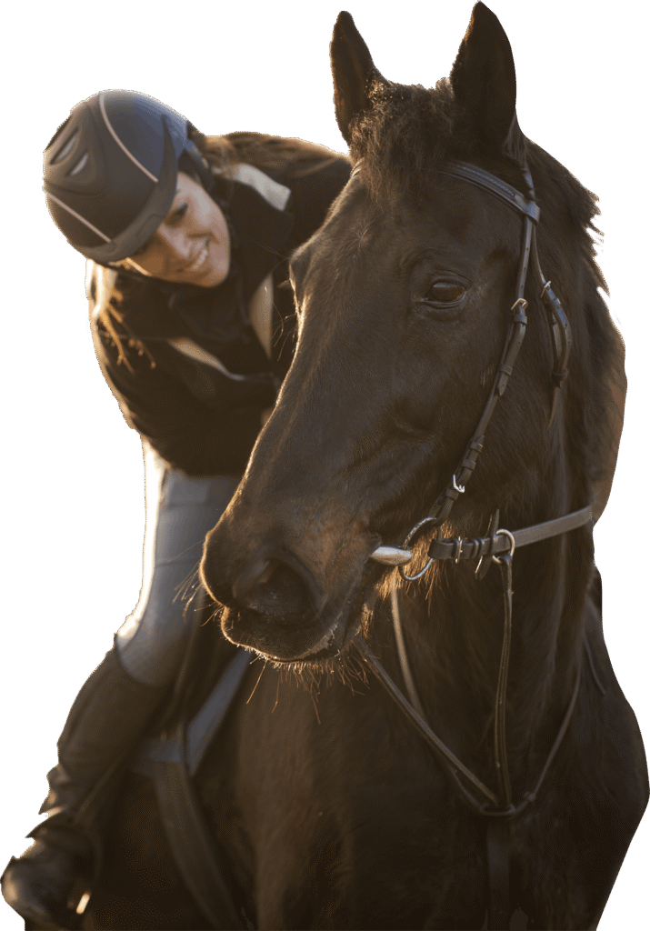 Welcome to Stone Lodge Equine